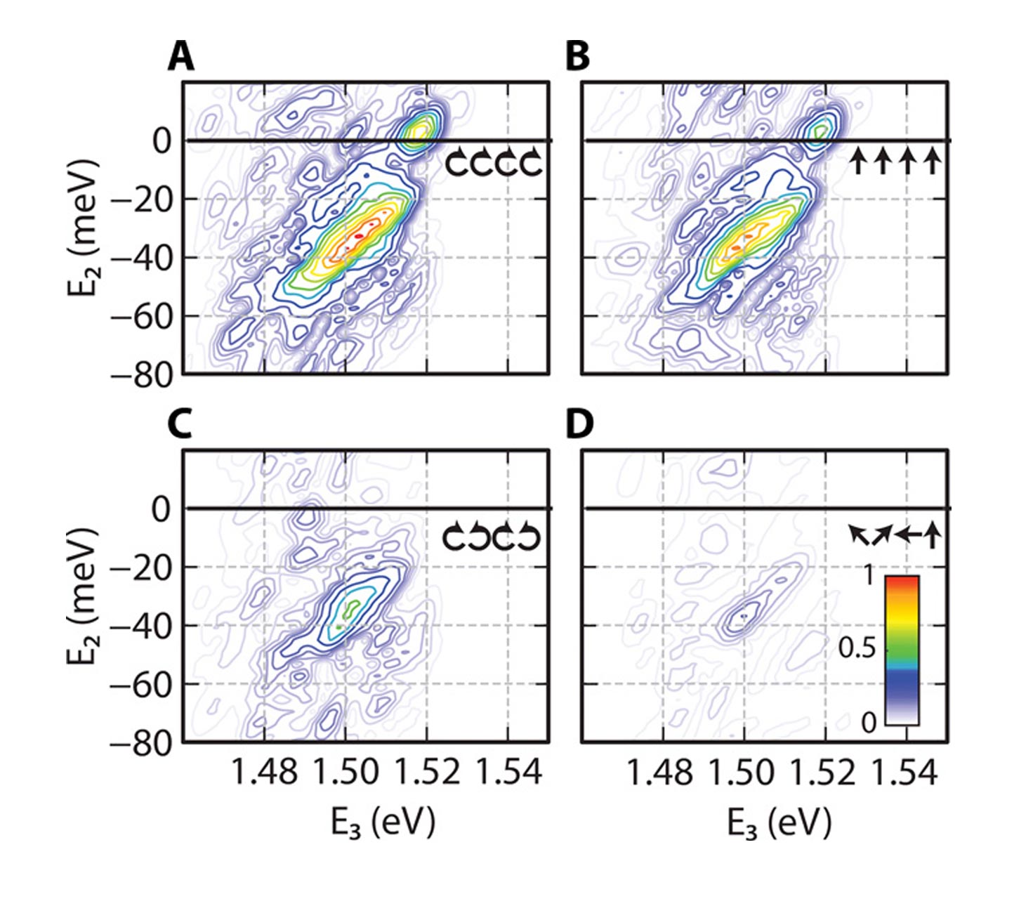 Ultrafast spectroscopy reveals minimal effect of polarization